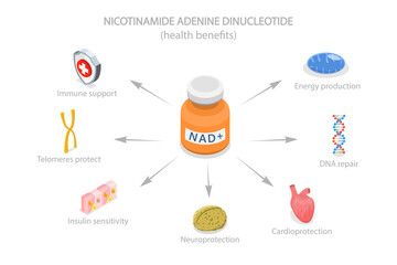 NAD+: Benefits, How It Works, and Delivery Methods Explained