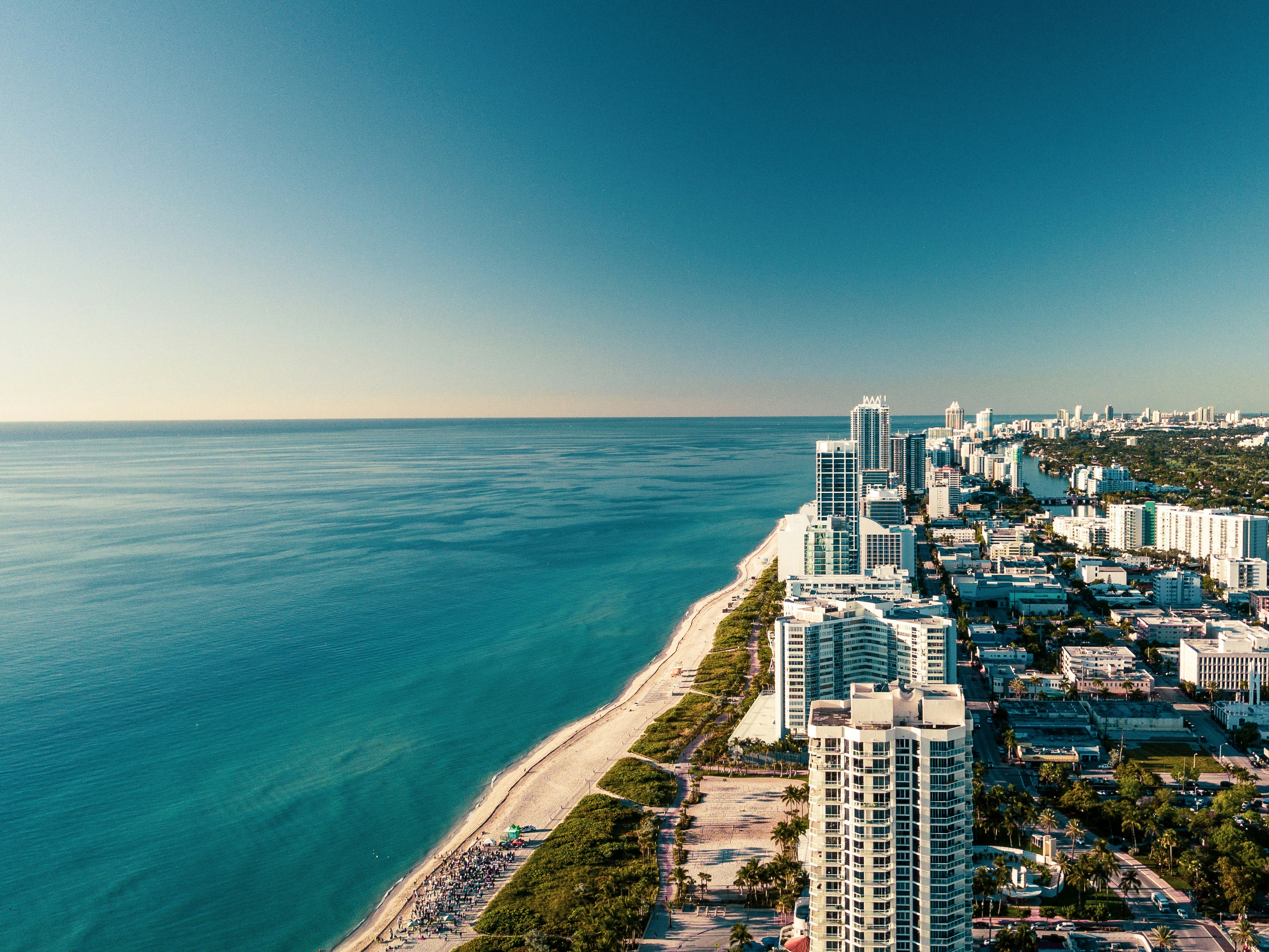Miami Skyline
