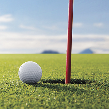 Golf green healthy turf following Bermuda grass control treatment with APSA-80