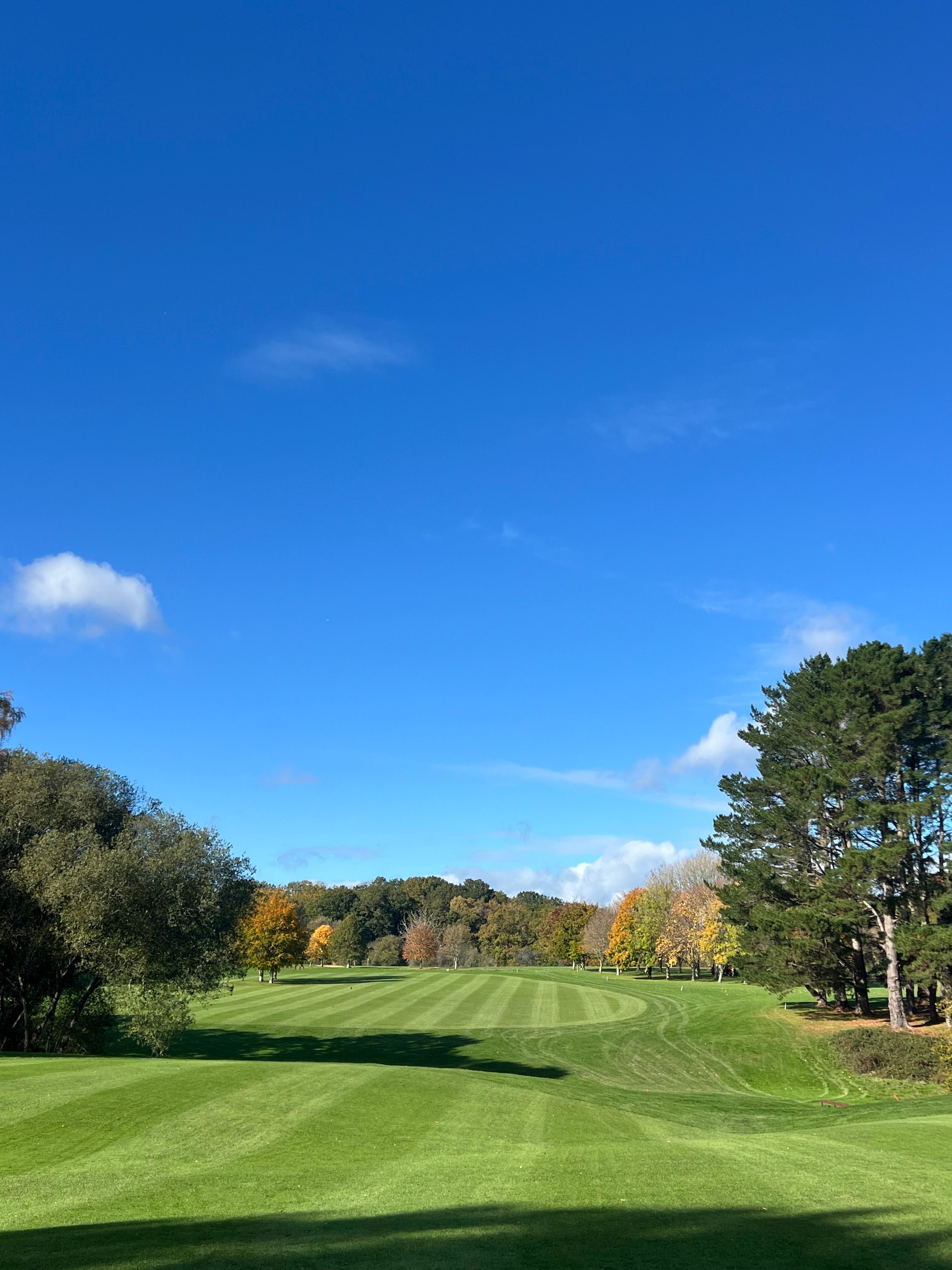 Well-manicured golf course fairway with mowing patterns showing healthy turf grass where APSA-80 can improve water distribution and irrigation efficiency