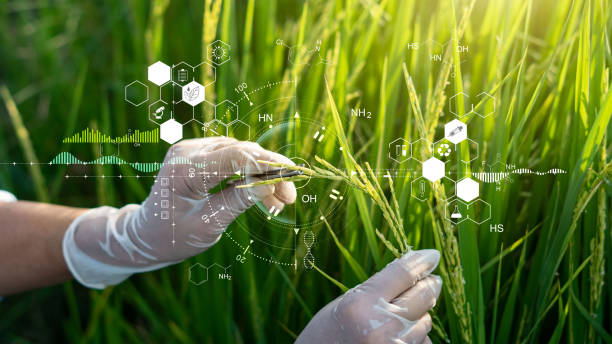 Agricultural scientist examining plant tissue with molecular compound overlays showing scientific analysis of plant nutrition and surfactant technology