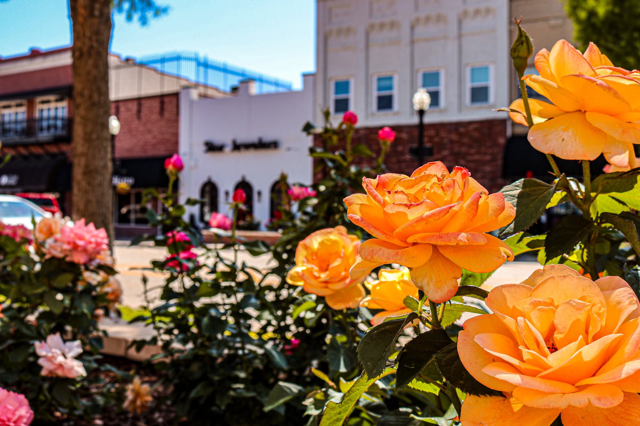 Rose District in Broken Arrow, Oklahoma