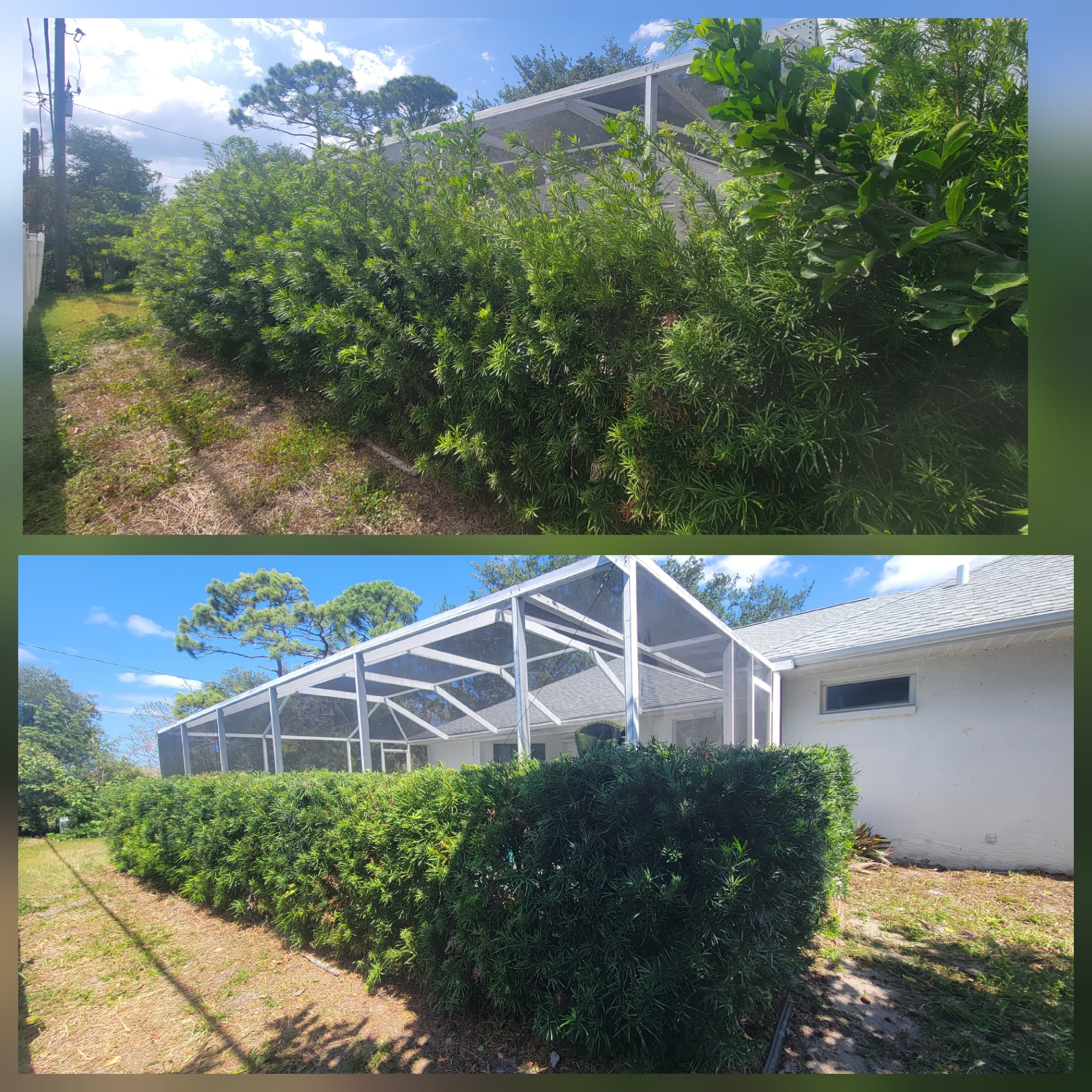 Landscaping Project 11