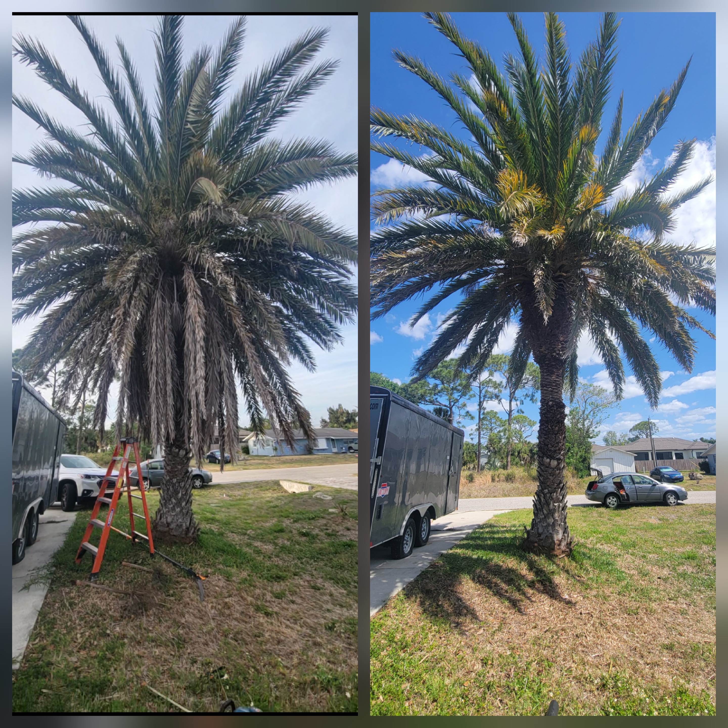 Landscaping Project 10
