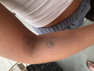 Close-up of client's healed fine line seashell tattoo on forearm