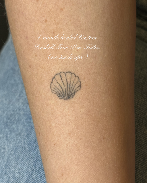 One-month healed custom seashell fine line tattoo by Clarissa Victoria Rosa