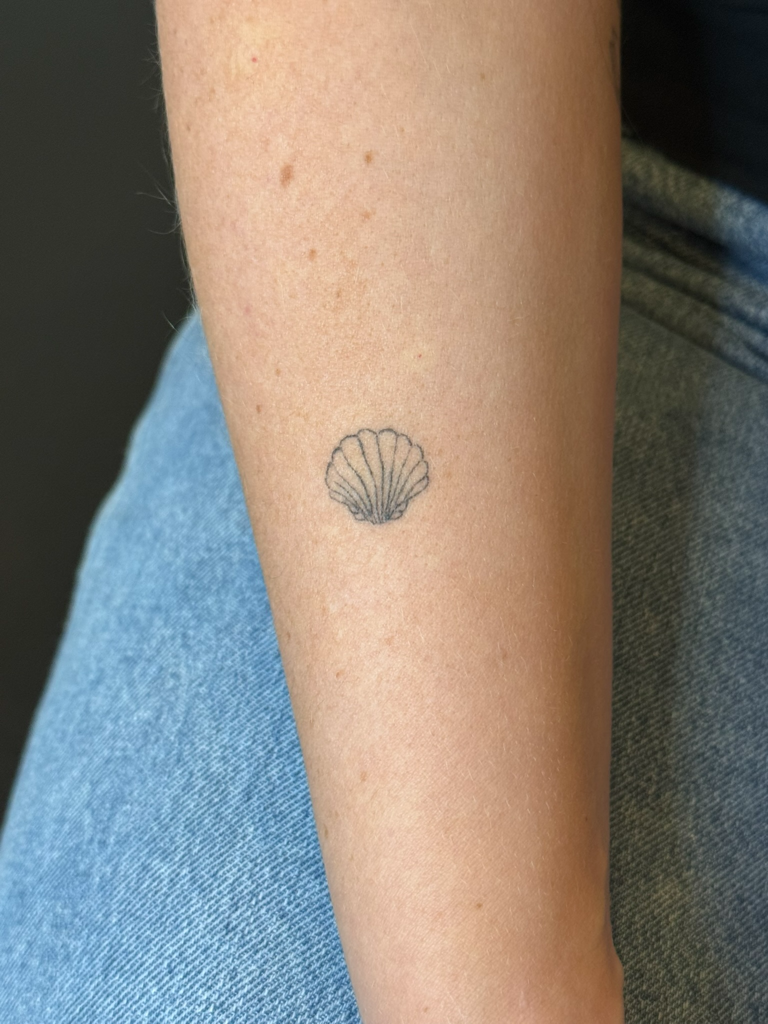 Healed fine line seashell tattoo