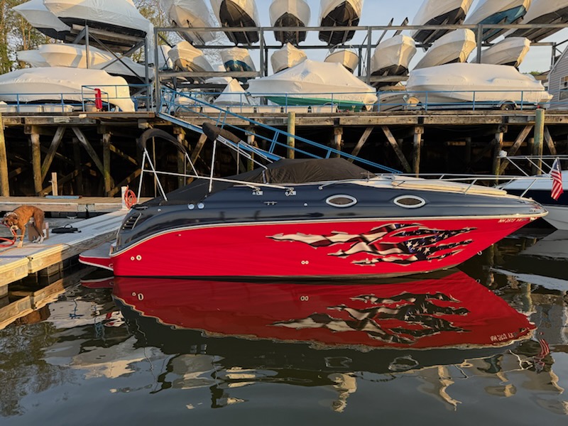 Sea Ray Cruiser