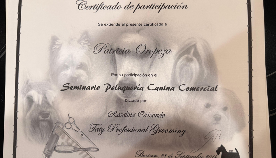 Seminario Peluquería Canina Comercial