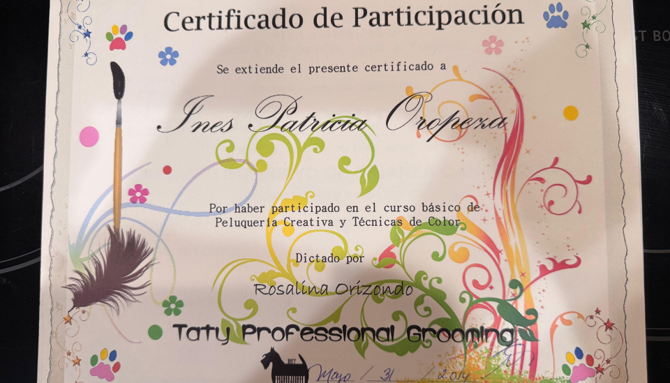 Certificado Peluquería Creativa y Color