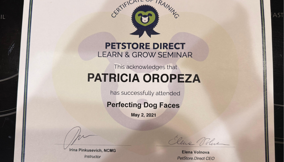 Perfecting Dog Faces - PetStore Direct