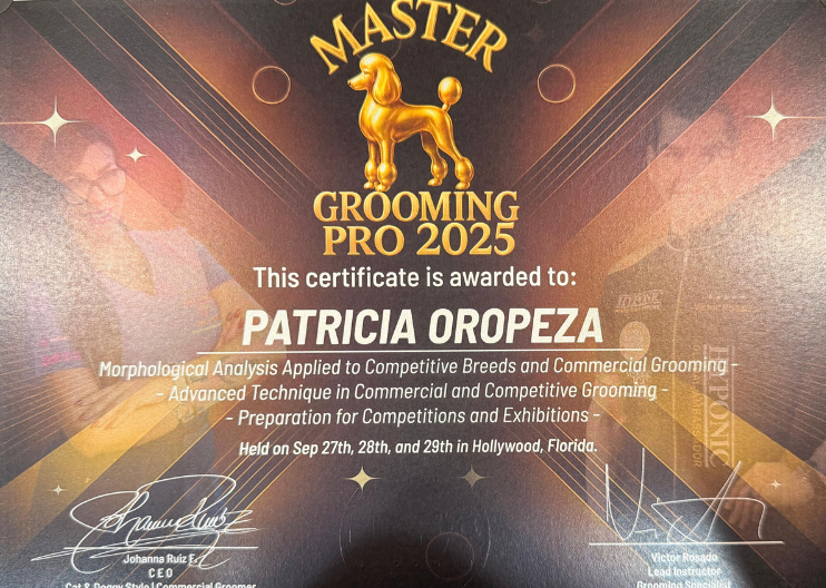 Master Grooming Pro 2025