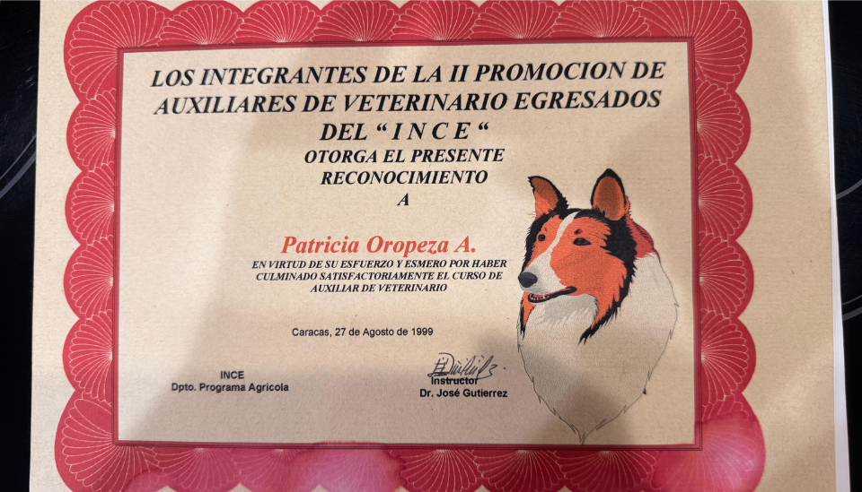 Certificado Auxiliar de Veterinario INCE