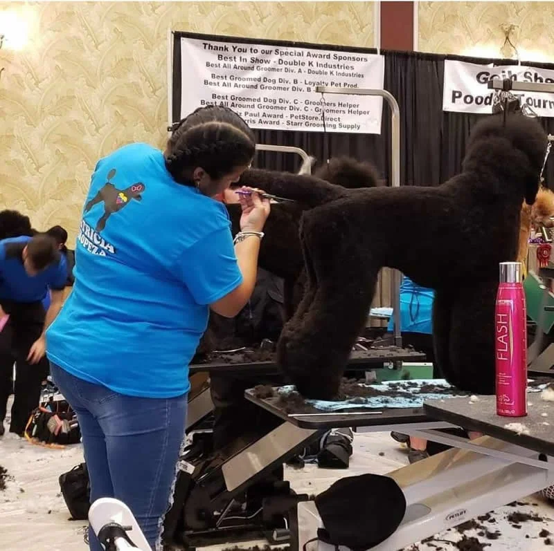Grooming Competition Styling