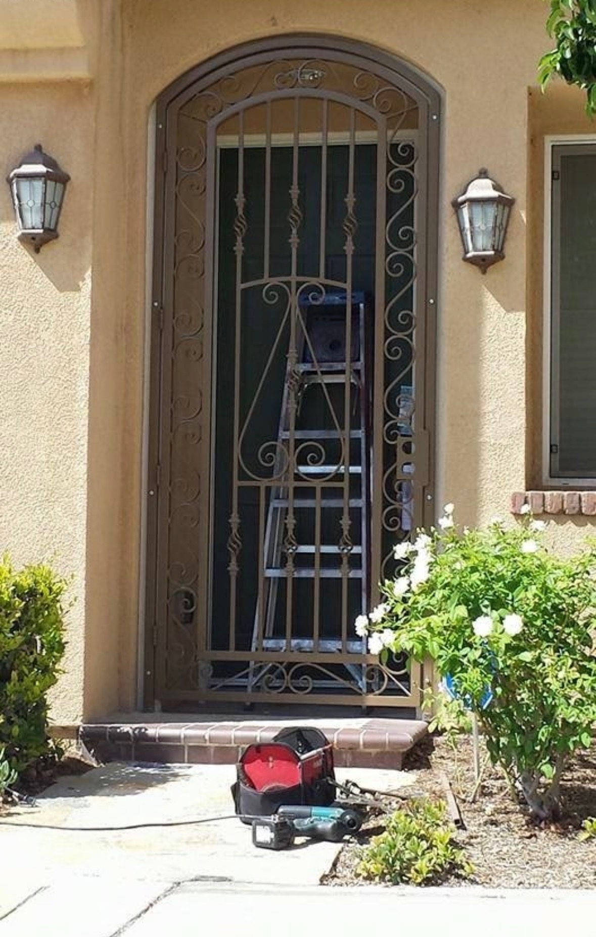 Custom Security Door