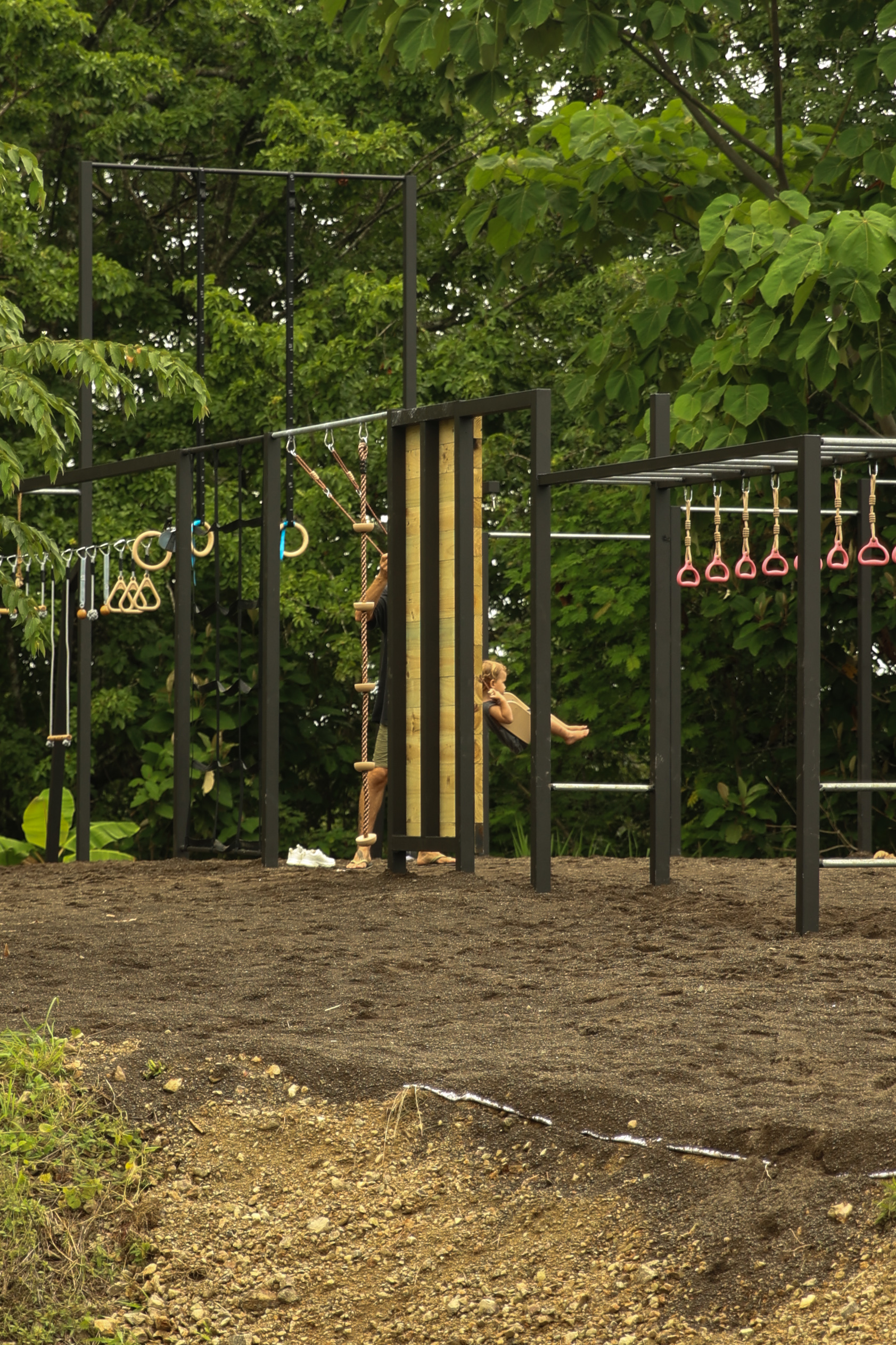 Jungle Gym