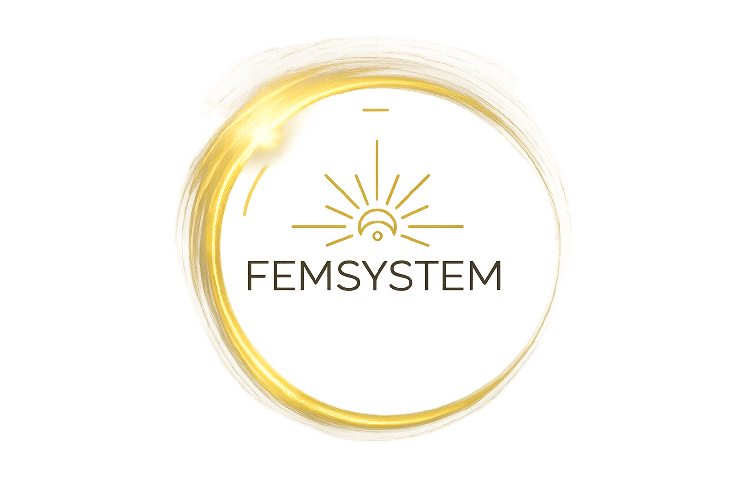 FemSystem