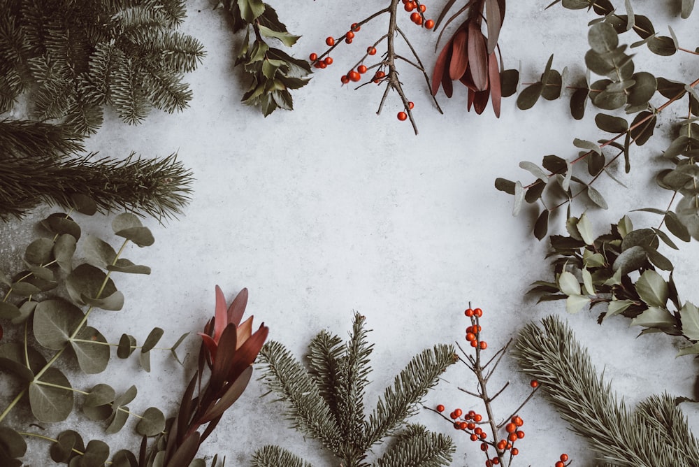 Our Top Tips for Managing Your Mental Health Through the Holidays
