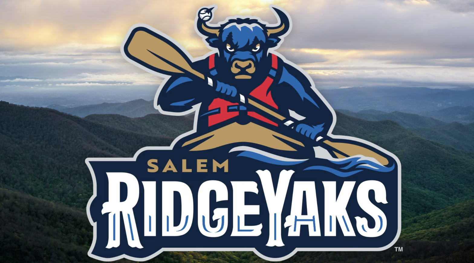 5 Salem Ridge Yaks Family 4-Packs