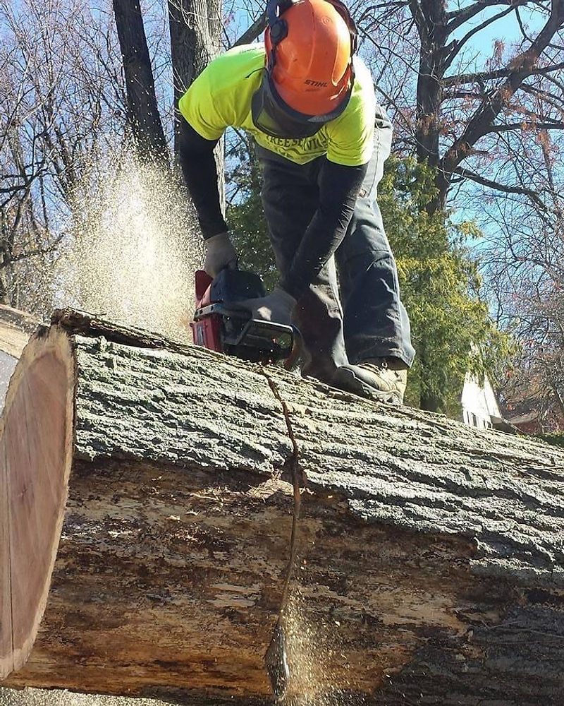 T & J Tree Services Team at work