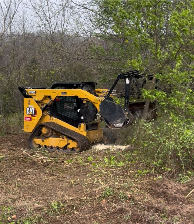 Forestry Mulching