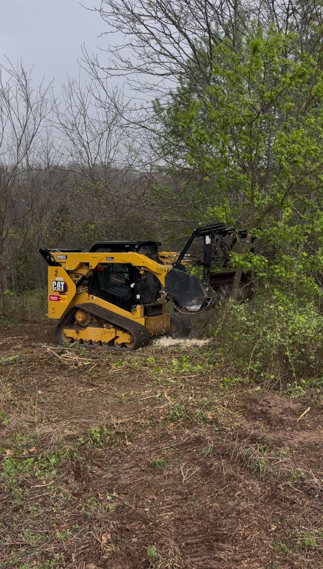 Caterpillar equipment mulching brush