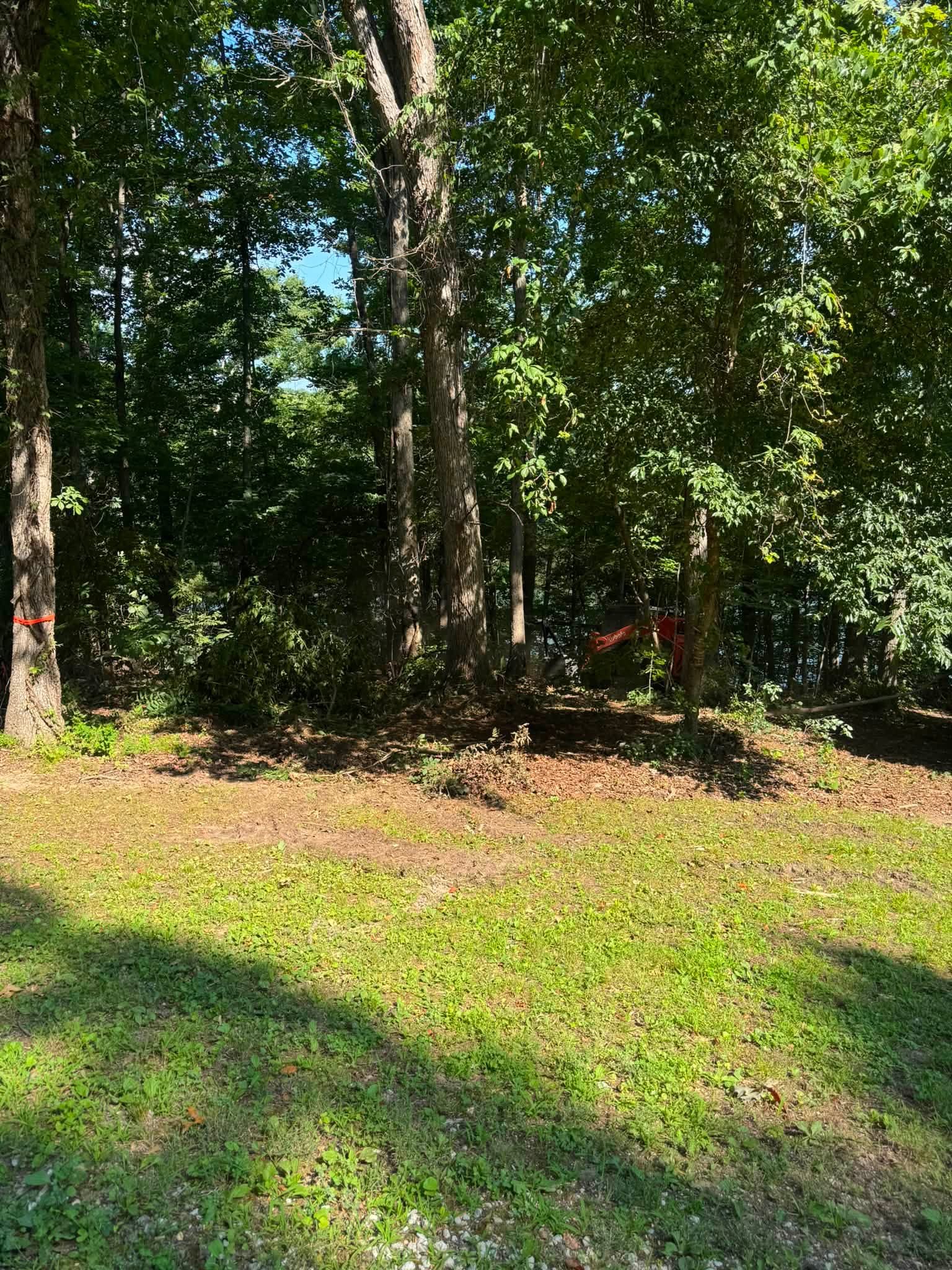 Kubota machine working in wooded area