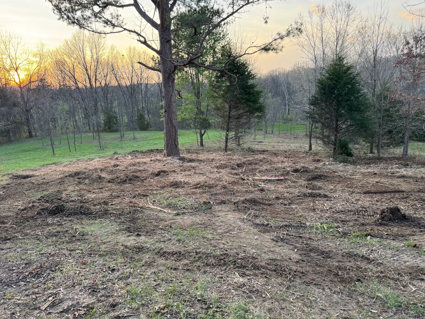 Land Clearing