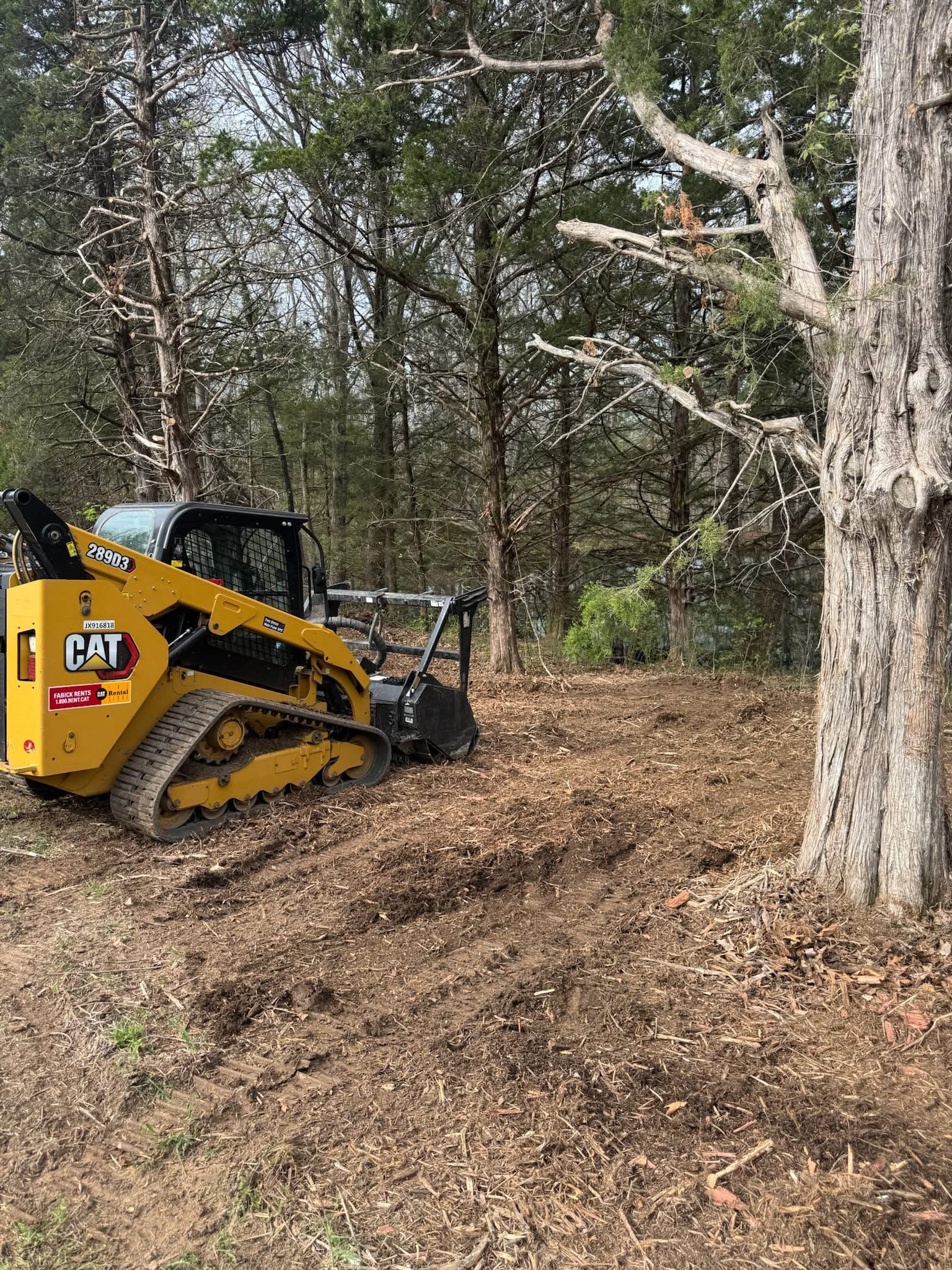 Caterpillar 275 XE in the woods