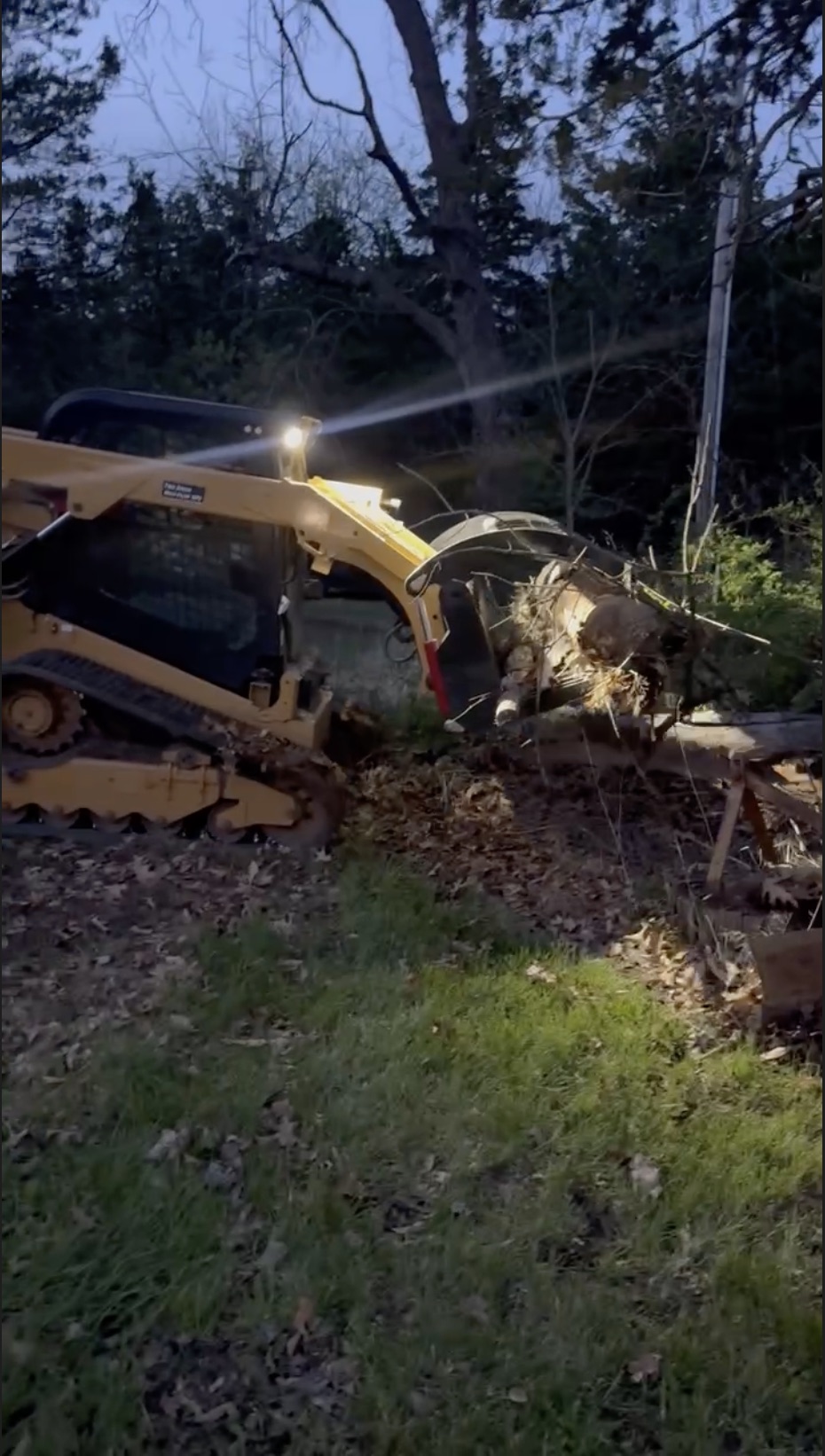 Caterpillar equipment working in the woods