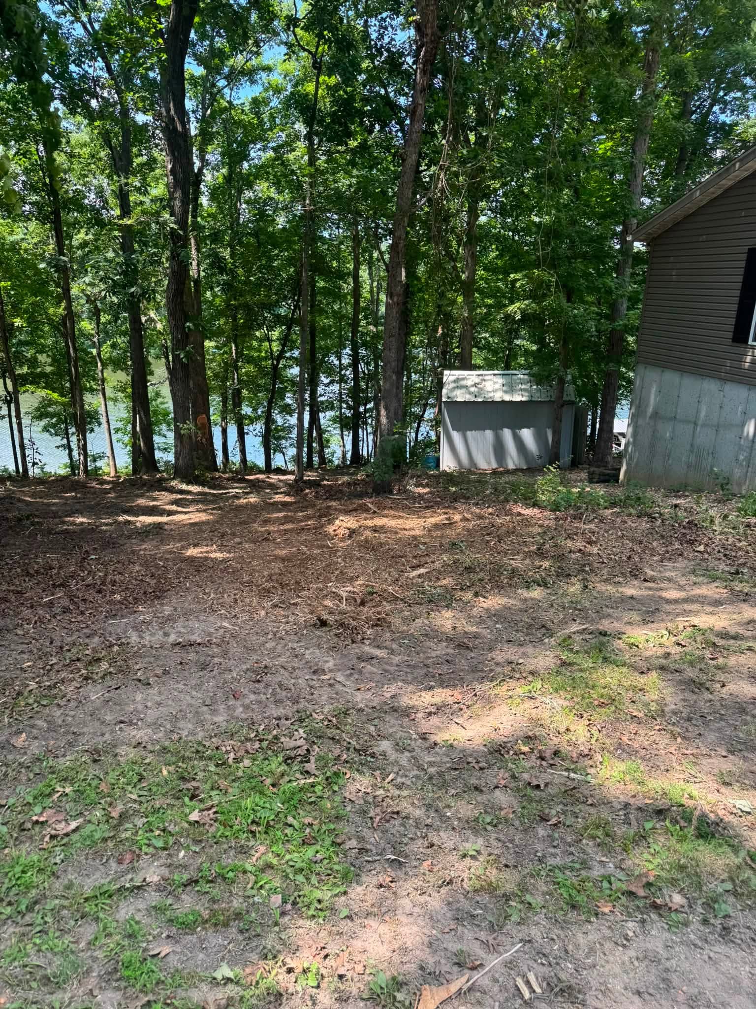 Wooded lot near lake before clearing