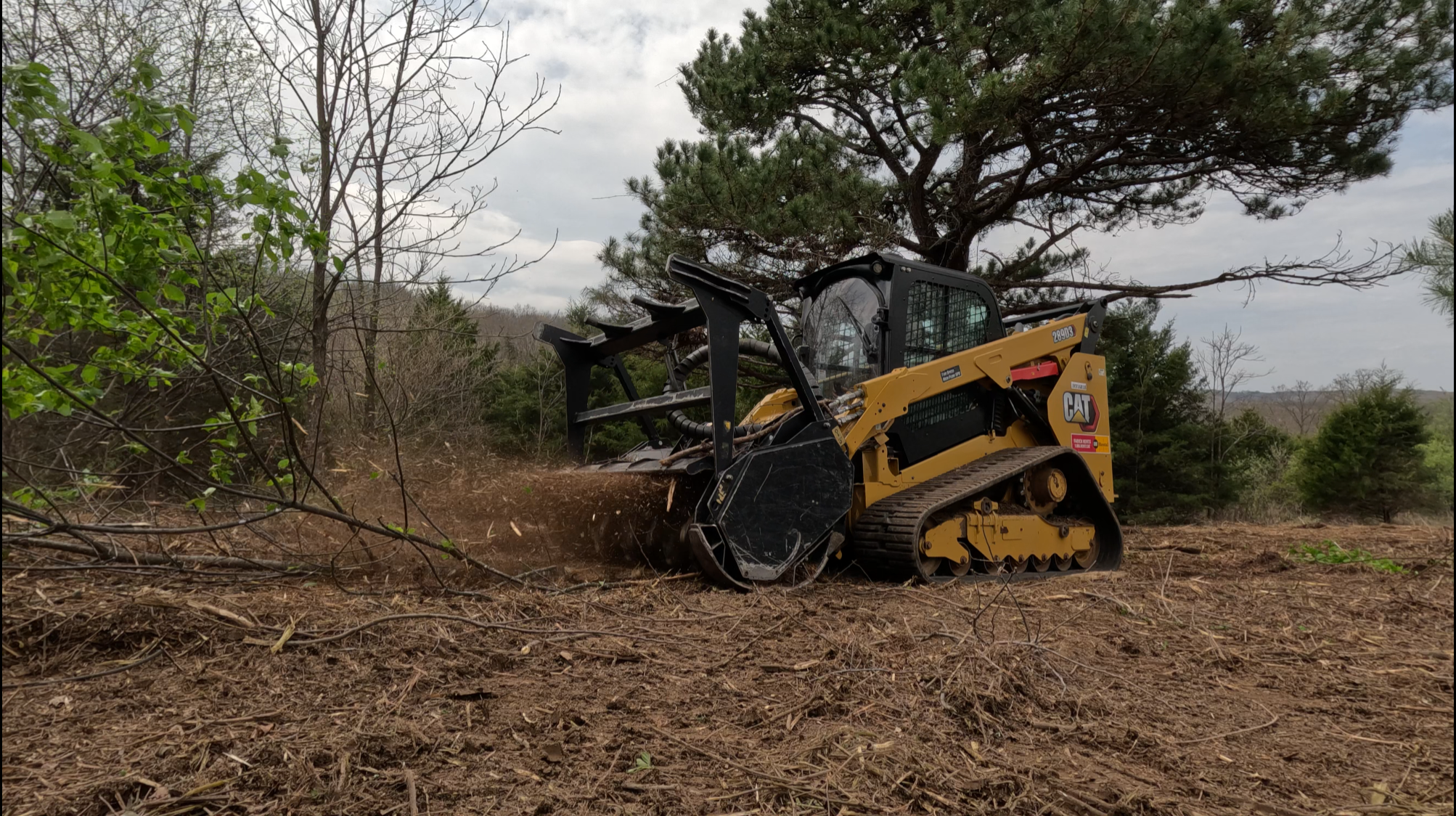 Caterpillar equipment clearing trees