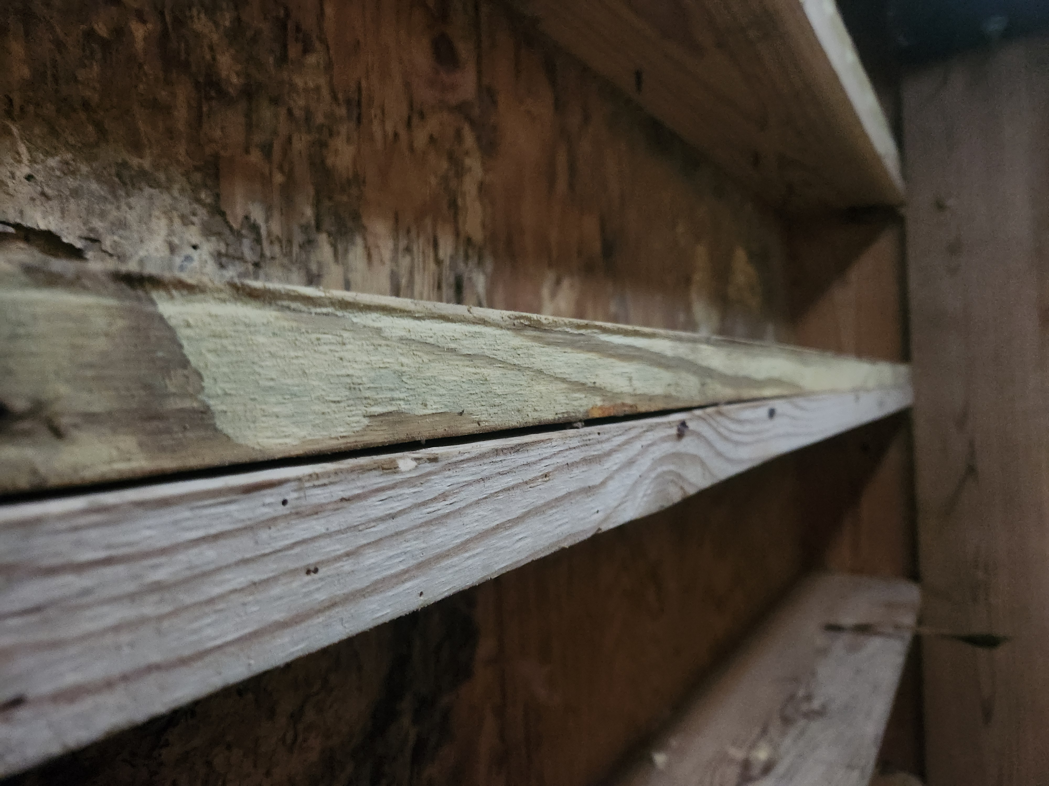 Wood Framing Detail project in St Tammany