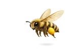 Zbyněk Joch