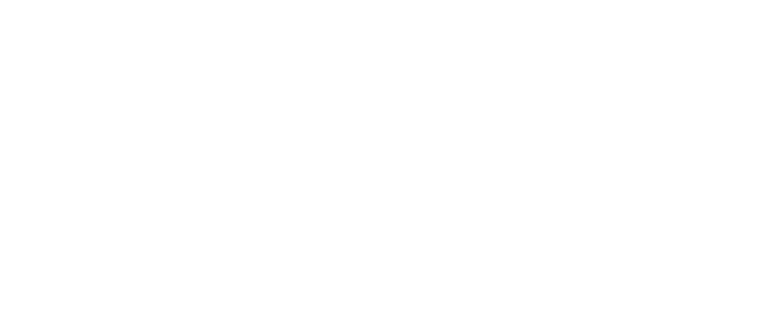 YAVA Systems - Premium AI Automation Agency