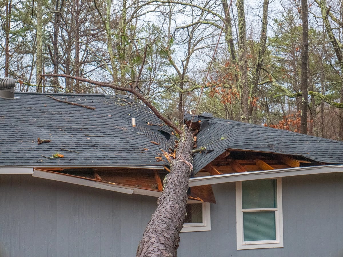 Completed roof