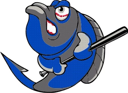 Team palm-beach-matadors