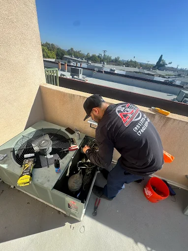 Professional Service