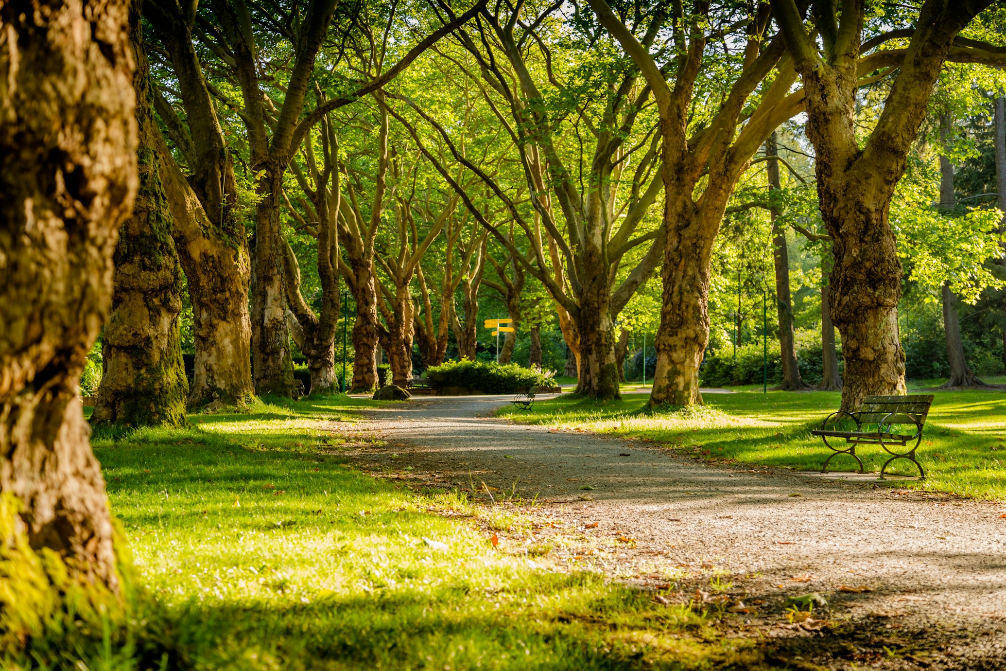 Parks