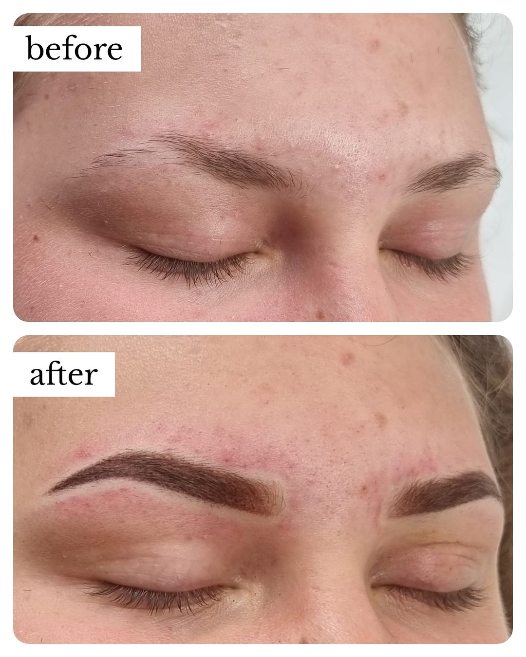 POWDER EYEBROWS