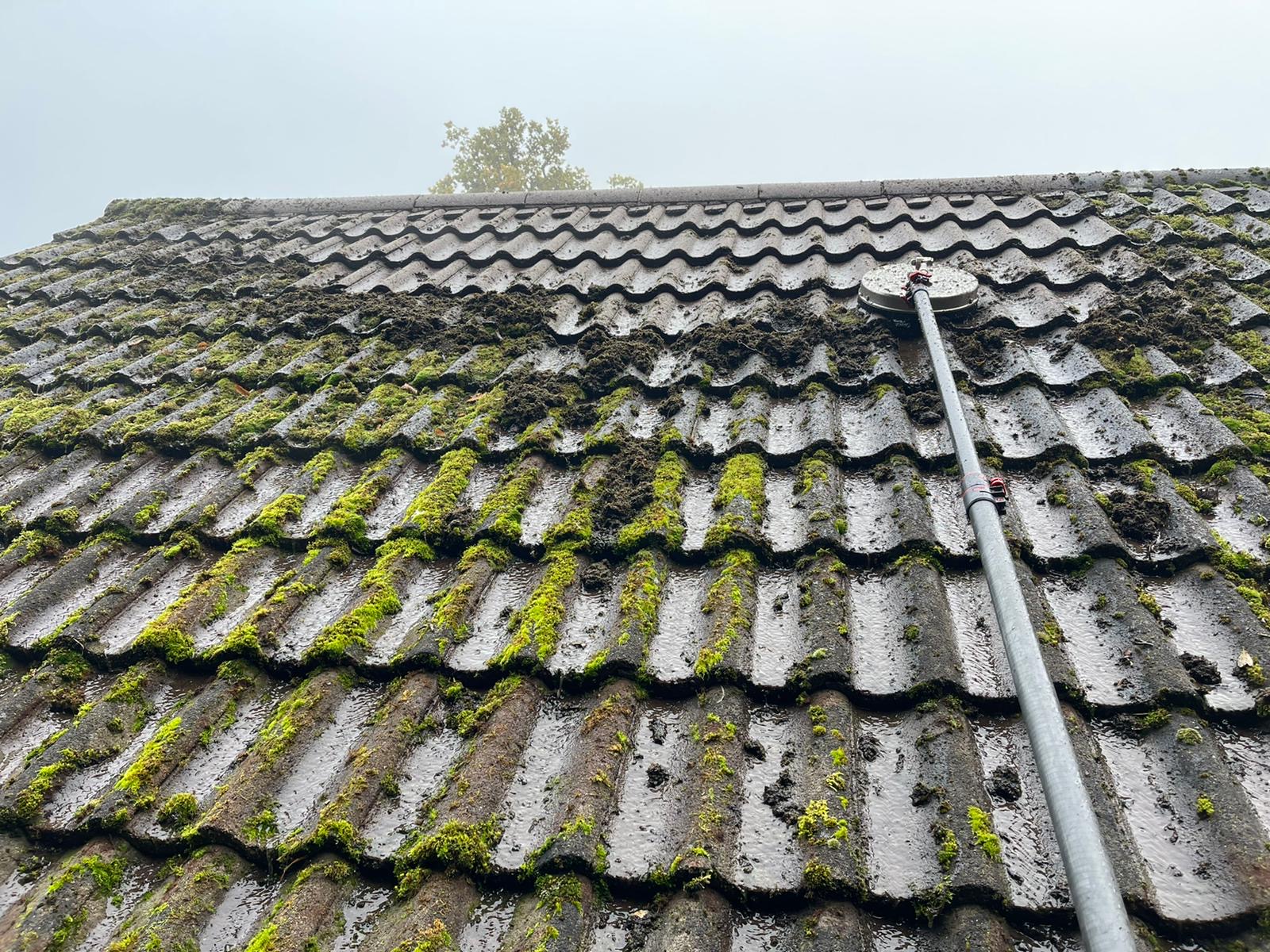 Roof Moss Removal