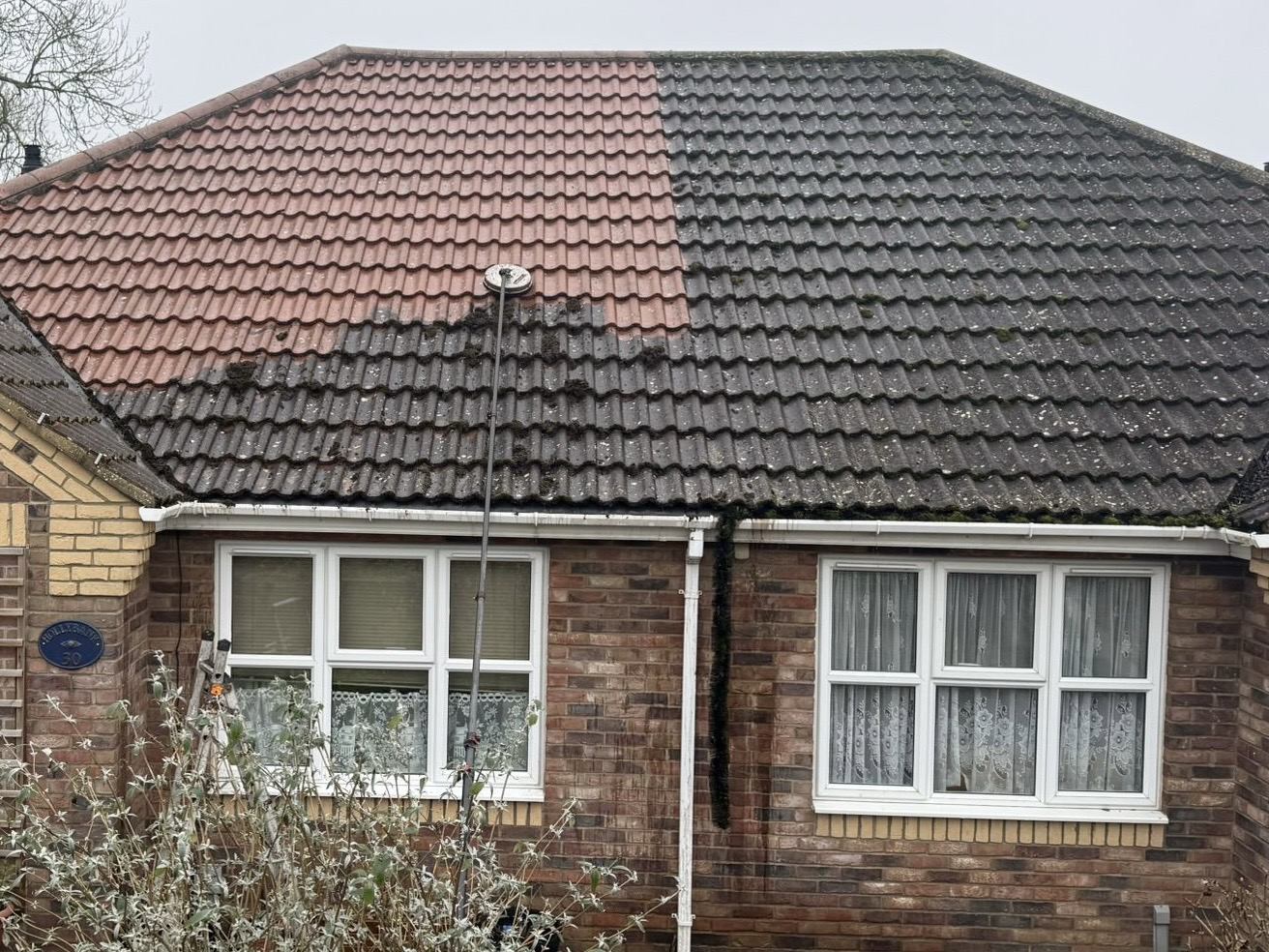 Roof Cleaning