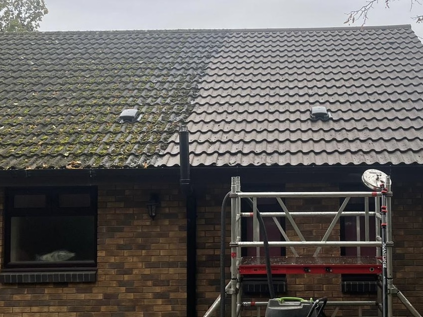 Roof Moss Removal