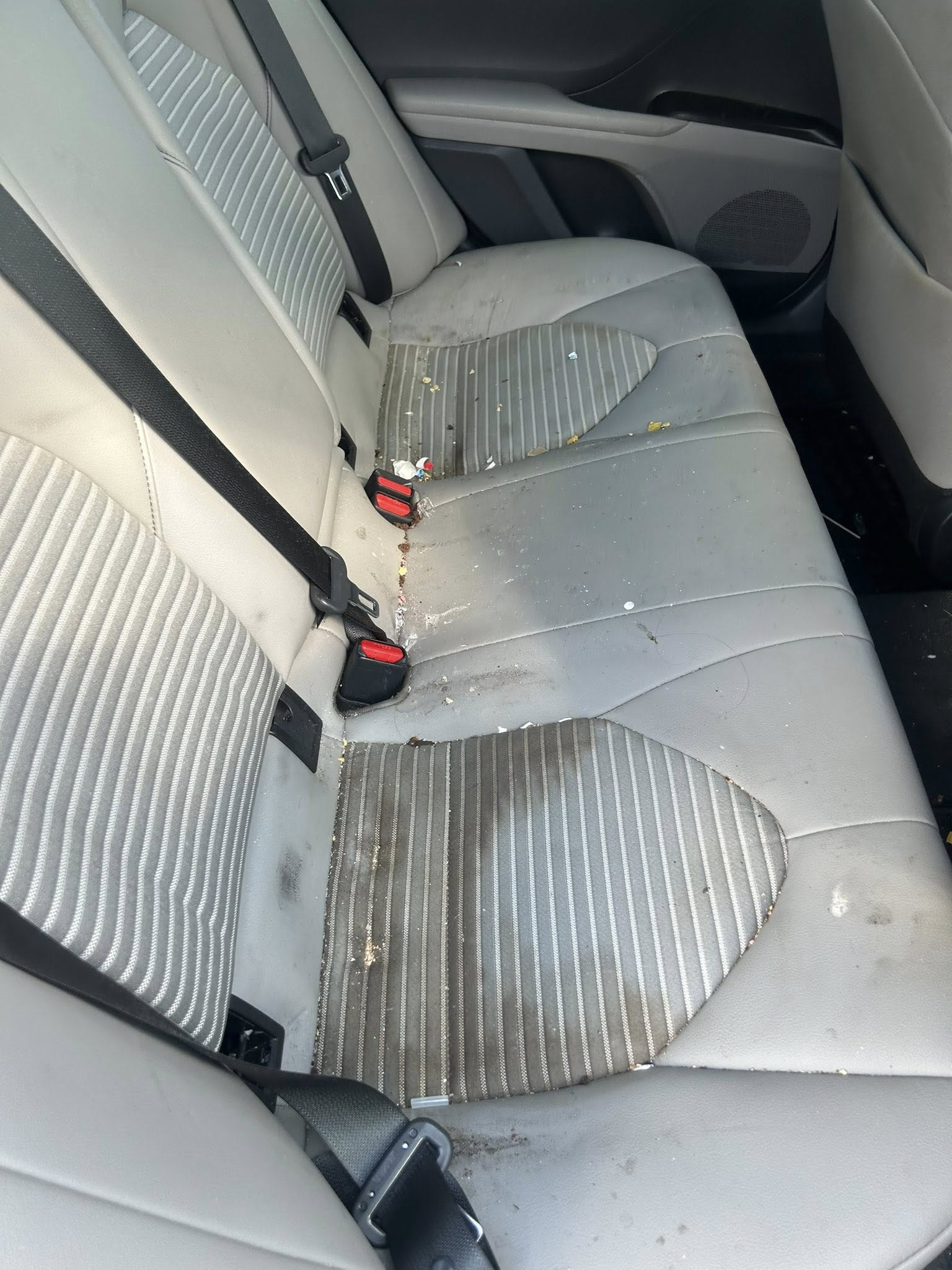 Light leather rear car seats with food stains and debris before interior detailing