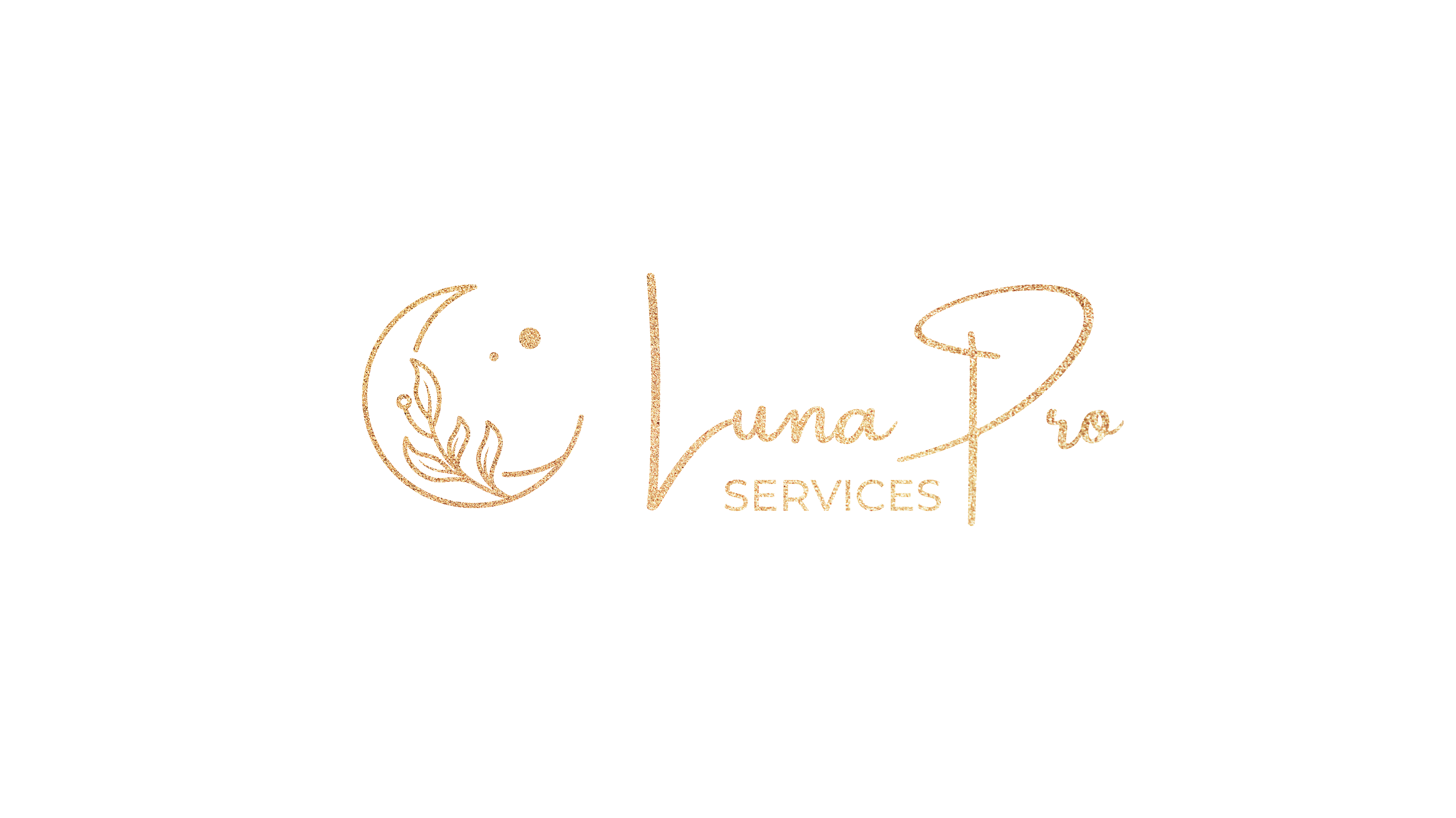 Luna Pro Services Logo