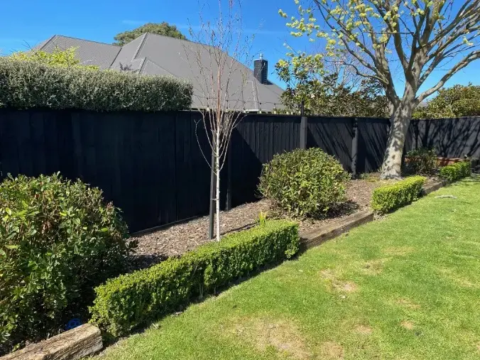 Garden project 1