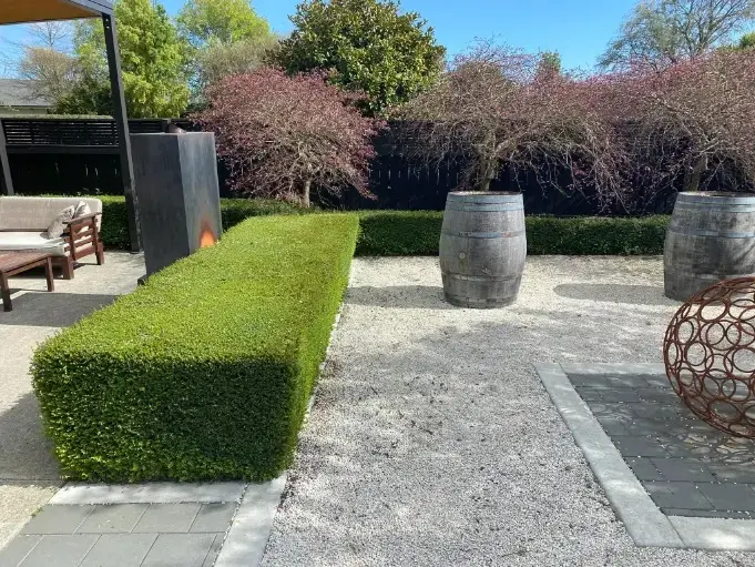 Garden project 5