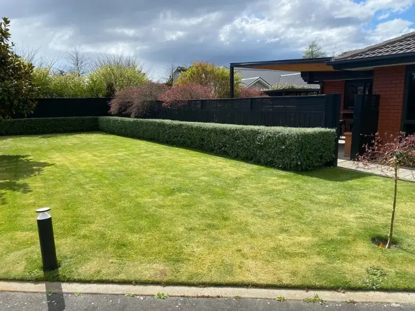 Garden project 6