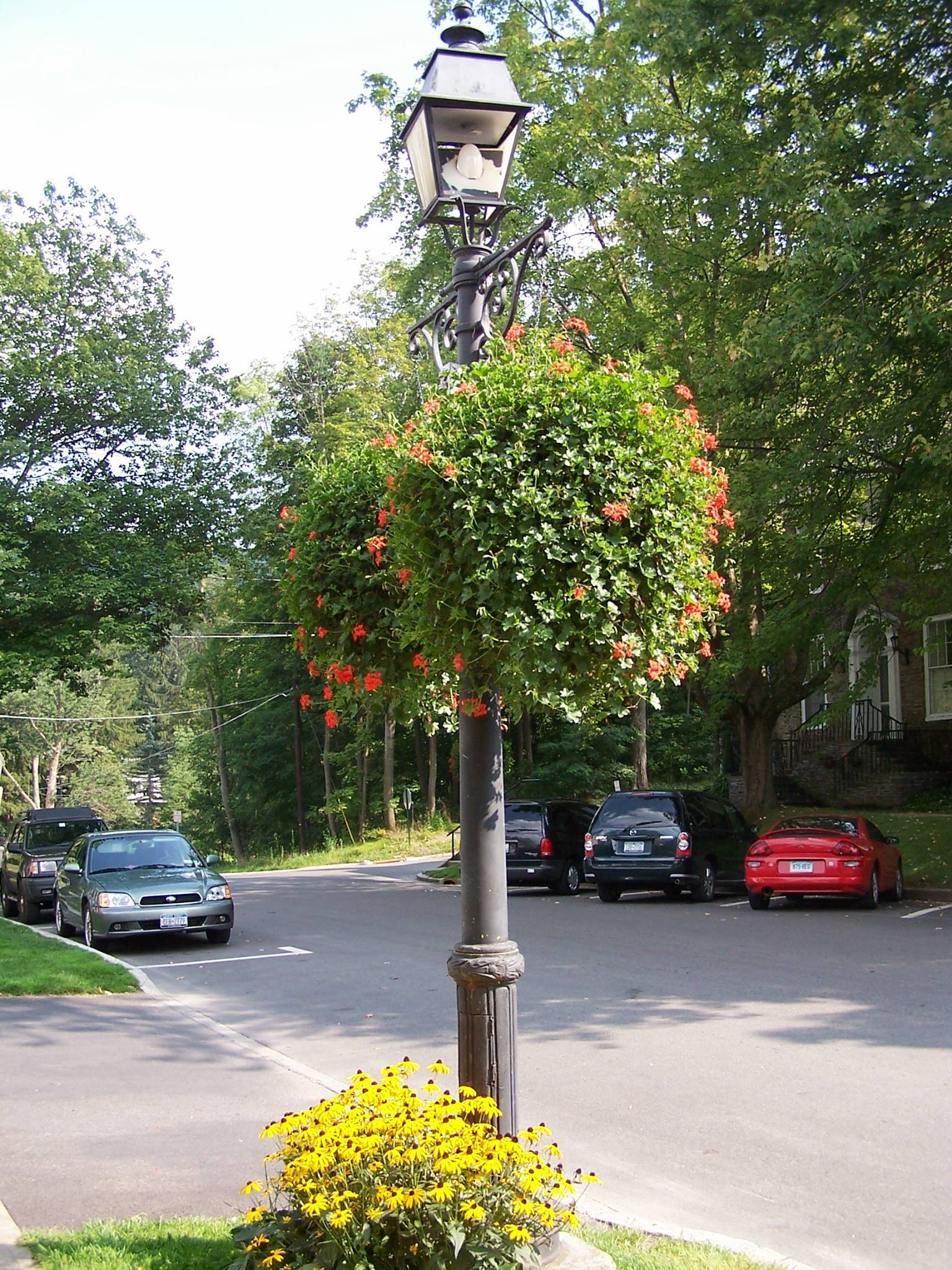 Flower Lamp Post
