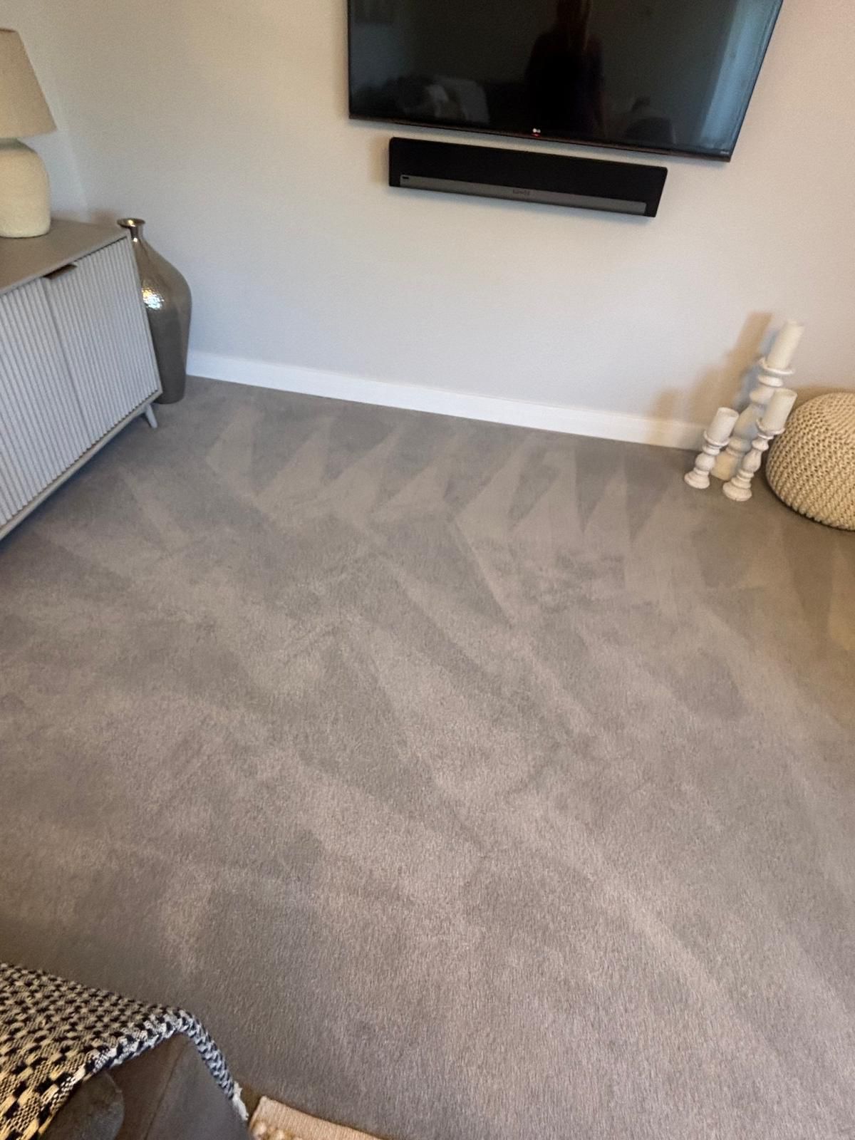 Premium Carpet Care result 5